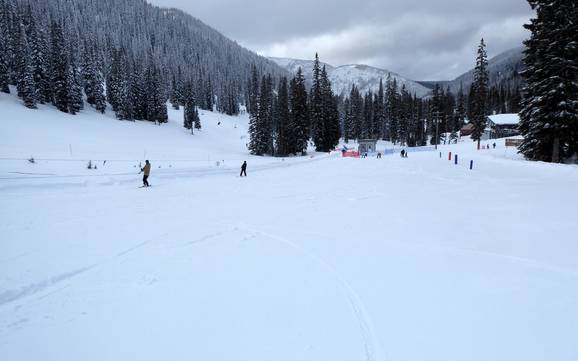 Stations de ski familiales Central Kootenay – Familles et enfants Whitewater – Nelson