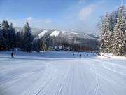 Piste intermédiaire Malinowa