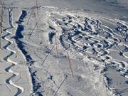 Sur le côté droit, un slalom est tracé.