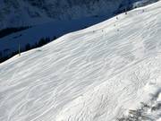 Très bonne préparation des pistes