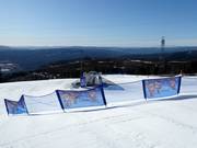 Bon plan pour les enfants : 