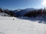 Piste facile pour débutants Scoiattolo à la station intermédiaire Tarlenta