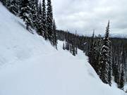 Piste de liaison Ripper Connector