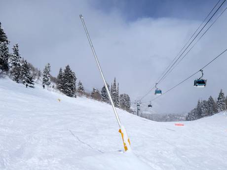 Fiabilité de l'enneigement Utah – Fiabilité de l'enneigement Snowbasin