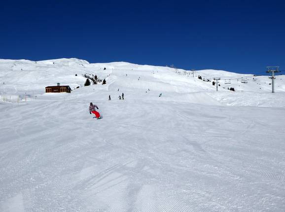 Piste Alp Dado
