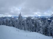Vue sur le Red Mountain