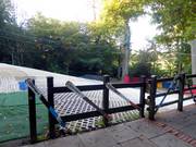 Vue sur la Nursery Slope