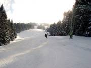 Descente en forêt au téléski Schwandlift