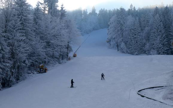 Domaines skiables pour les débutants dans l' arrondissement de Cham – Débutants Hohenbogen – Neukirchen bei Hl. Blut