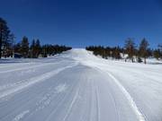 Piste Femåbacken à Tandådalen