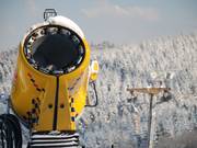 L’un des sept canons à neige