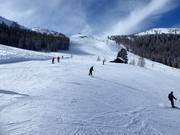 Magnifique piste large Mitterhausabfahrt sur la Planai