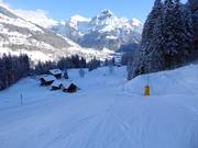 Descente jusqu’à la vallée vers Engelberg
