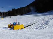 Tappeti Madessa (1,2,3) - Tapis roulant