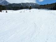 Des pistes larges et peu pentues à Hinterthal