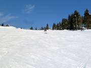 Piste 19 : Neklid - Karásek I.