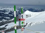 Fermeture des zones forestières et de protection de la faune