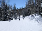 Piste facile Ontario