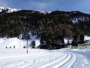 Pistes de ski de fond à Vent