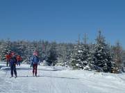 Skieurs de fond au Kaltenbronn