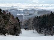 New Furano Prince Hotel