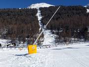 Lance à neige dans la zone de la vallée