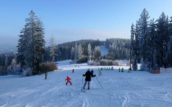 Bohême du Sud: Taille des domaines skiables – Taille Lipno
