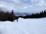 Piste facile La Familiale