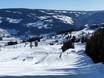 Snowparks Gudbrandsdalen – Snowpark Kvitfjell