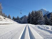 Piste de ski de fond à Villars