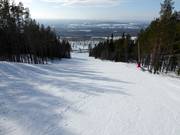 Piste Fridabranten n° 12