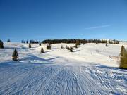 Vue sur la piste panoramique facile