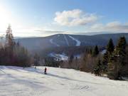 Vue depuis le Hochficht vers le Zwieselberg