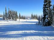 Début des pistes faciles en montagne