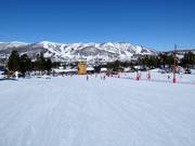 Piste facile de vallée à Vestlia