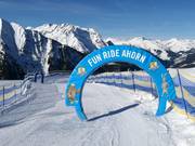 Bon plan pour les enfants : 