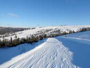 Vue sur Hundfjället avec Tandådalen en arrière-plan