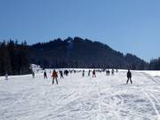 Pour les débutants : piste plate et large Roßalm (Winklmoosalm)