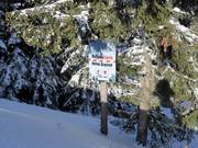 Respecte tes limites