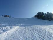 Vue d'en bas sur la piste Fuchs