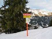Signalisation des pistes
