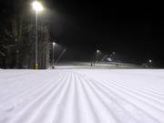 Domaine skiable pour la pratique du ski nocturne Szczyrk Mountain Resort