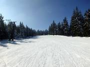 Paysage hivernal enneigé et pistes de rêve