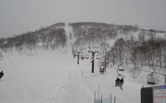 Skier sur l'île d'Honshu