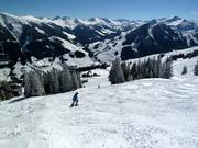 Variantes au Sunliner