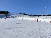 Piste d'entraînement à Zieleniec