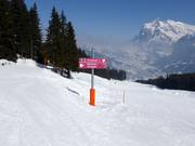 Signalisation des pistes dans le domaine skiable