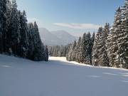 Descente vallée FIS
