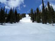 Piste difficile Windfall