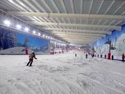 La piste principale dans la halle de ski The Snow Centre